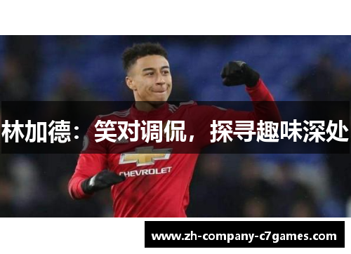 林加德：笑对调侃，探寻趣味深处