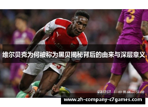 维尔贝克为何被称为黑贝揭秘背后的由来与深层意义