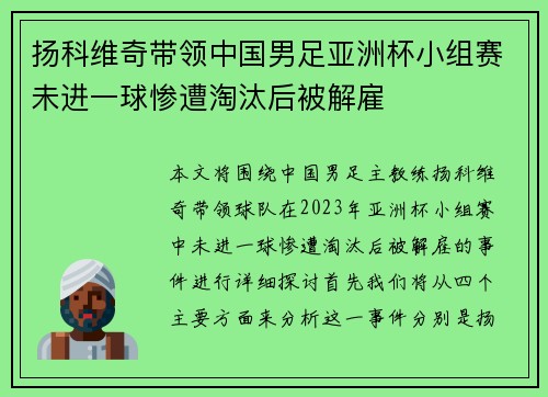 扬科维奇带领中国男足亚洲杯小组赛未进一球惨遭淘汰后被解雇